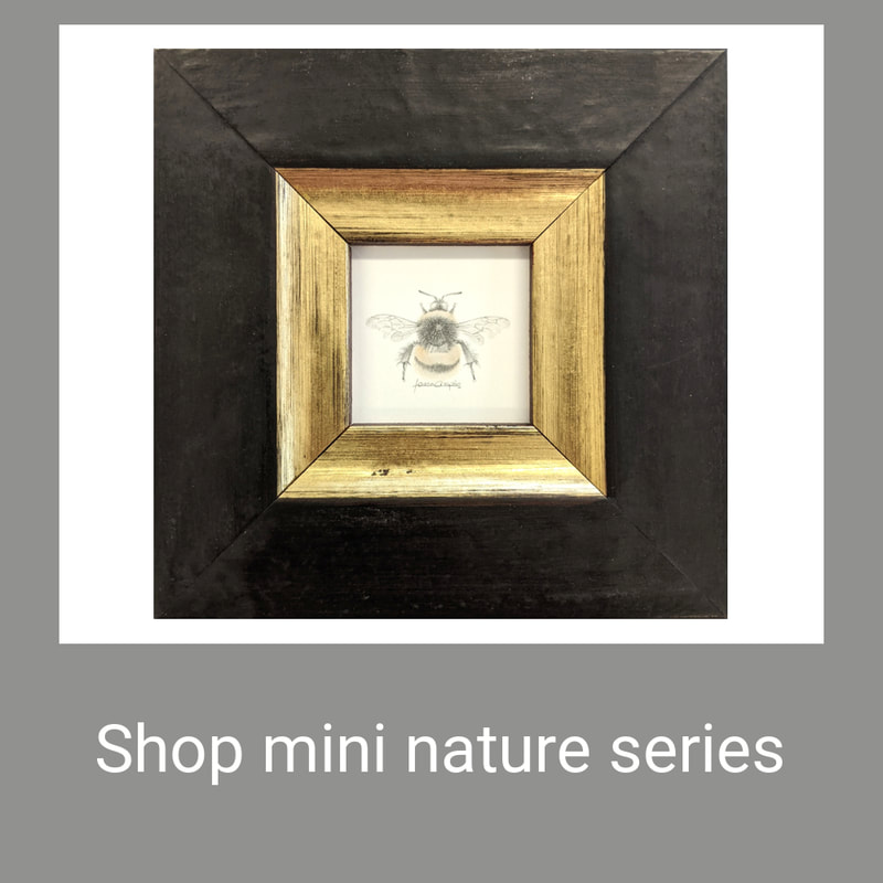 shop mini nature series