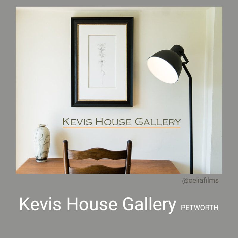 Kevis House Gallery