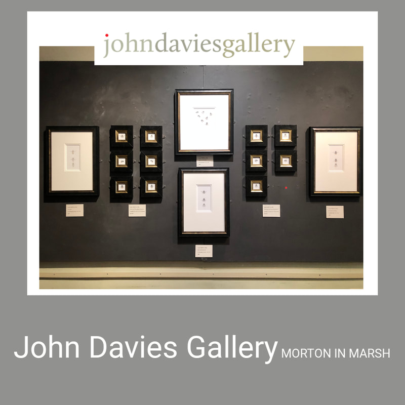 John Davies Gallery