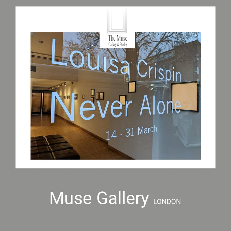 Muse Gallery
